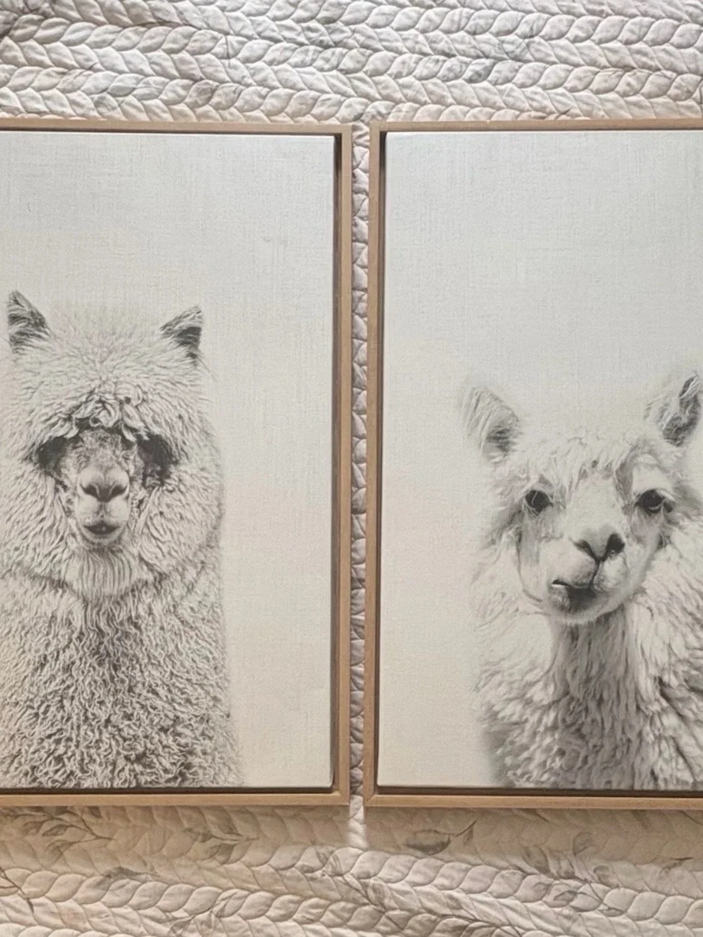 Kate and Laurel Sylvie Alpaca 2pc Framed Canvas Wall Art 33in Vertical, White